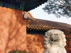 -戏马台景区