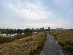 -洋湖国家湿地公园