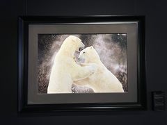 -罗红摄影艺术馆