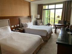 -宜春明月山维景国际温泉度假酒店