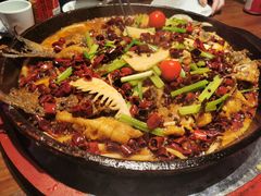 -老板恋上鱼(恒隆广场店)