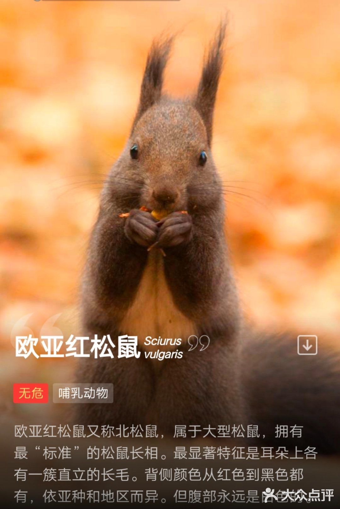知道自己一定会觉得惊喜， 所以，提前安排好了每个惊喜[糖果]