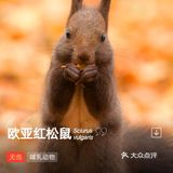 知道自己一定会觉得惊喜， 所以，提前安排好了每个惊喜[糖果]