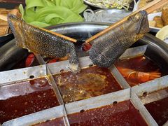 -邓莽子老火锅(鲁祖庙店)