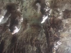 -怀托摩萤火虫洞