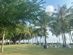 -深圳湾公园(南山区)