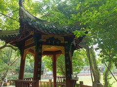 -房湖公园
