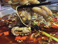 -宽口美蛙鱼头(大唐西市店)