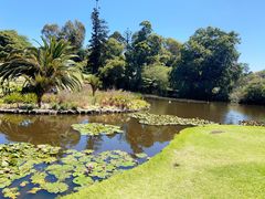 -墨尔本皇家植物园