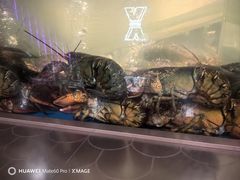 -南海渔村(珠江新城店)