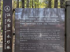 -日照海滨国家森林公园