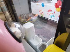 -半岛宠物医院24小时(科华中路店)
