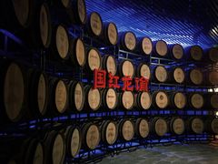 -龙谕酒庄