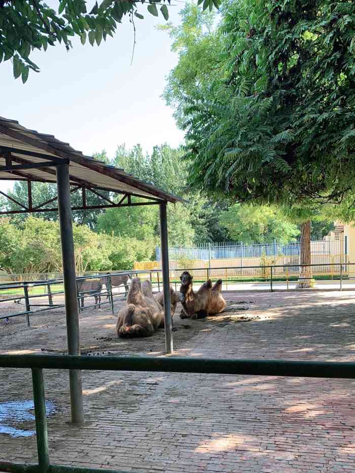 银川动物园图片图片