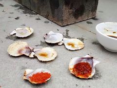 -兴旺渔家