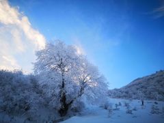 -太子岭滑雪场