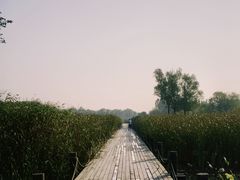 -马家湾湿地公园