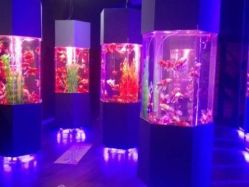 -未来动物城主题公园(正弘城店)