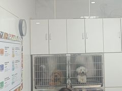 -中农国际动物医院24小时·猫科·骨科·急重症中心