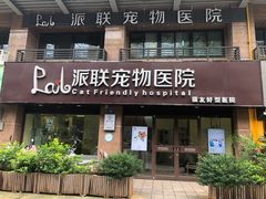 -派联宠物医院·24h·CT·异宠