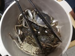 -川骄海鲜自助(河东店)