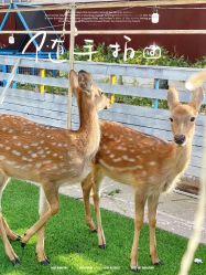 -小蜜蜂农场(凯德七宝购物广场店)