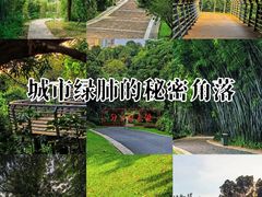 -玉树公园