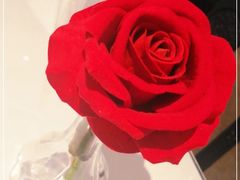 -百饺园(平山道店)