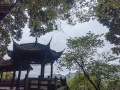 -都江堰景区