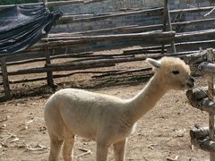 -清风小镇闯关东影视基地