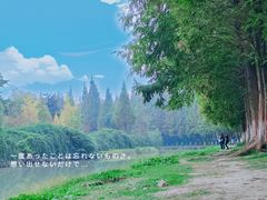 -升仙湖公园