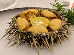 -品海楼·大连海胆锅贴馆(东港店)