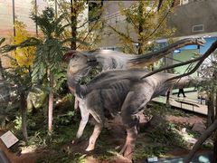 -湖南省地质博物馆