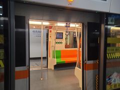 -杨高南路(地铁站)