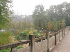 -重庆彩云湖湿地公园