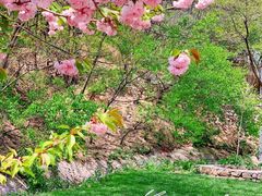 -云峰山自然风景区