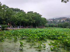 -韶山毛泽东同志故居