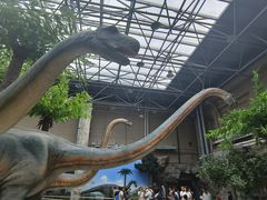 -国家自然博物馆