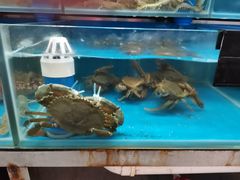 -张家卫·阳江菜·小海鲜(肥婆湾桥店)
