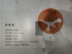 -湖南省地质博物馆