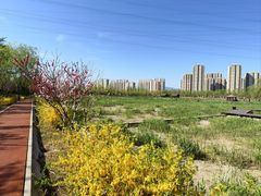 -永定河休闲森林公园