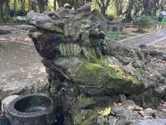 -海口火山口国家地质公园