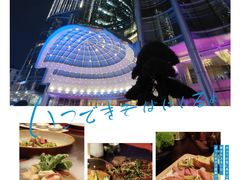 -圣丰索菲特·法国餐厅