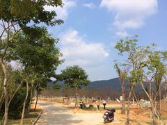 天适樱花悠乐园-天适樱花悠乐园