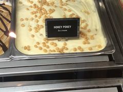 hokey&nbsp;pokey-Patagonia Chocolates(皇后镇店)