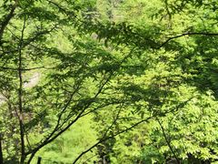 -重庆彩云湖湿地公园