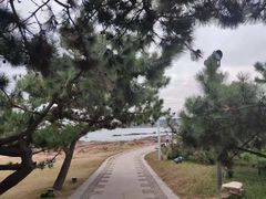 -青岛第三海水浴场