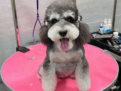 -宠福鑫康馨动物医院·骨科·眼科