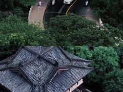 -渌洋湖湿地公园