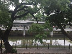 -广东胜利宾馆西关粤中餐厅